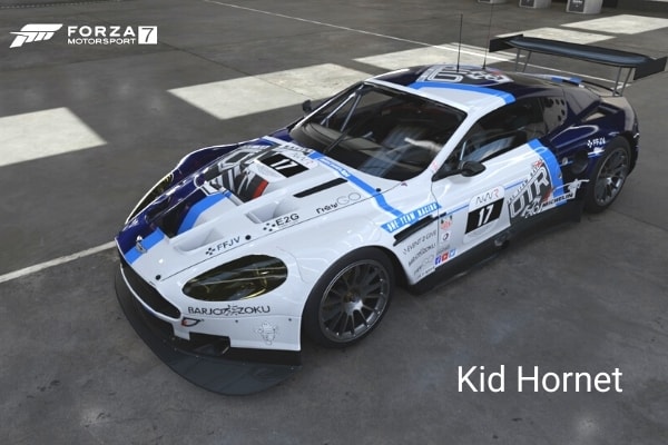 Forza 7 GT Endurance Series